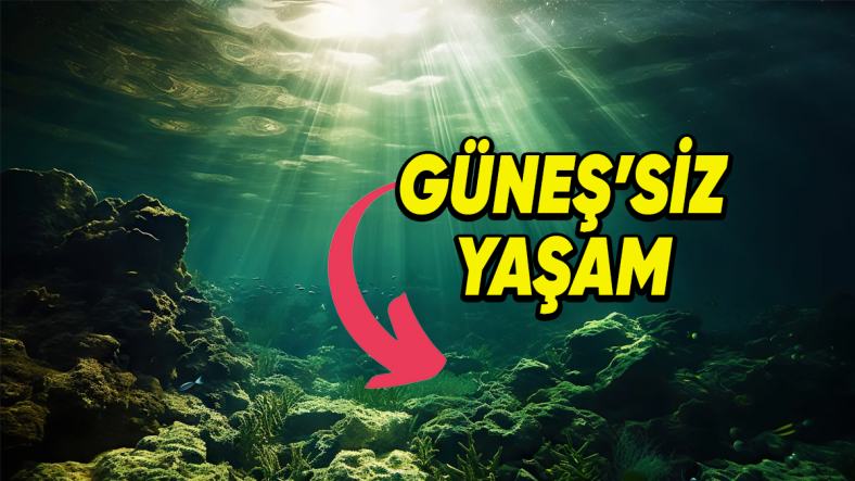 Güneş Işığı Görmeyen Derin Okyanus Bitkileri, Hayata Tutunmayı Nasıl Başarıyor? (Kendilerince Bir Yöntem Geliştirmişler!)