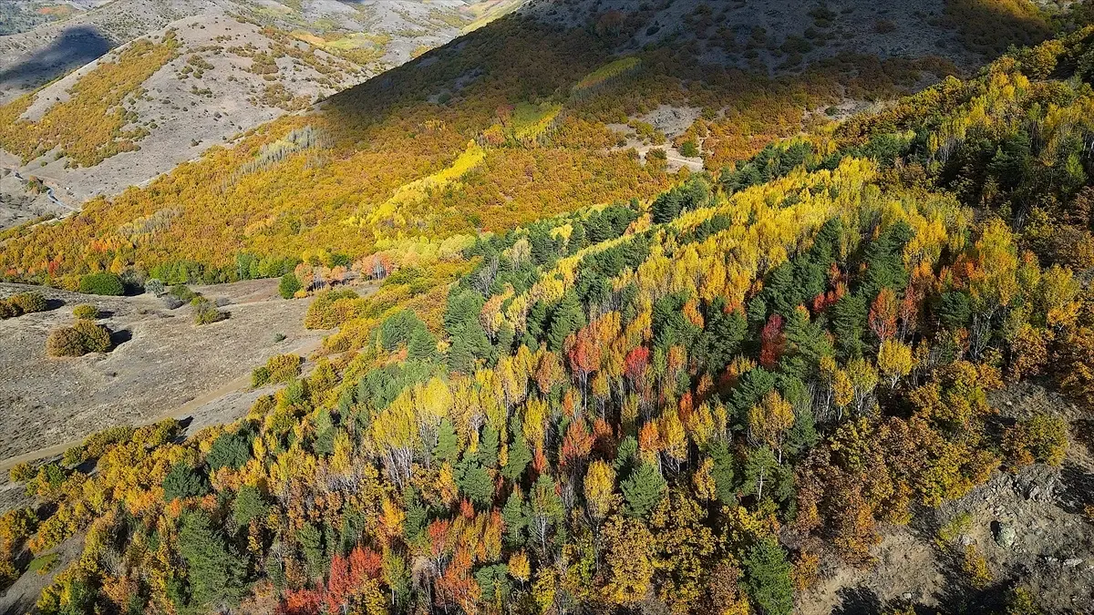 bayburtta sonbahar guzellikleri nMETJbFX.jpg