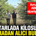 Tarlada kilosu 60 liradan alici buluyor avrupa ve abdden siparis yagiyor CpA7XRCd