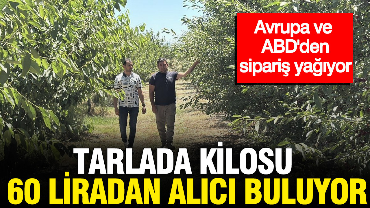 Tarlada kilosu 60 liradan alici buluyor avrupa ve abdden siparis yagiyor CpA7XRCd