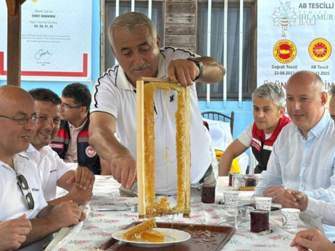 Turkiyenin en ozel bali kovanlardan cikti fiyati dudak ucuklatti Q7HLnX2F
